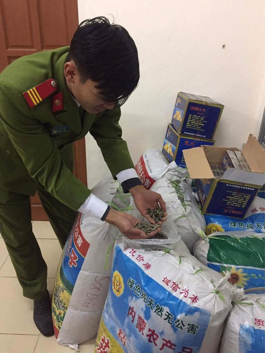 Số lượng hướng dương Trung Quốc bị lực lượng chức năng thu giữ. Ảnh: Người Lao động