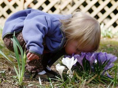 Cha mẹ kh&ocirc;ng n&ecirc;n trồng hay mua c&acirc;y cảnh về chơi Tết nếu nh&agrave; c&oacute; trẻ nhỏ. Ảnh minh họa 