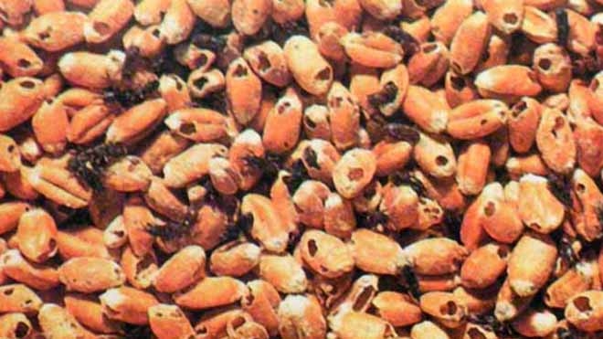 Bộ N&ocirc;ng nghiệp v&agrave; Ph&aacute;t triển n&ocirc;ng th&ocirc;n 