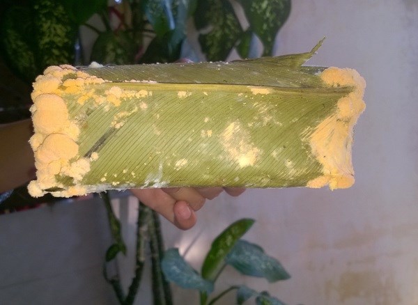 Nguy cơ ung thư nếu ăn b&aacute;nh chưng mốc. Ảnh minh họa 