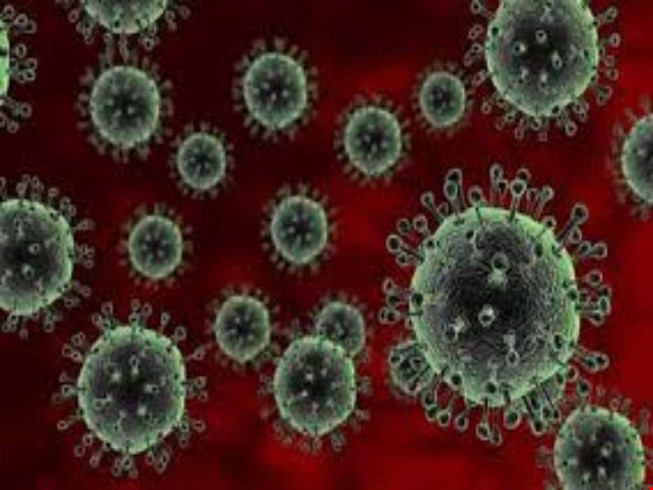 Ăn thịt g&agrave; đ&ocirc;ng lạnh cũng c&oacute; thể l&acirc;y nhiễm A/H7N9. Ảnh minh họa