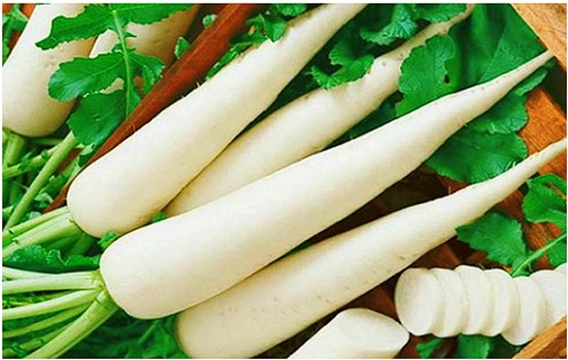 Củ cải trắng cũng kh&ocirc;ng nằm ngo&agrave;i danh s&aacute;ch c&aacute;c loại 13Win OKVIP Cá cược bóng đá chứa chất độc. Ảnh minh họa 