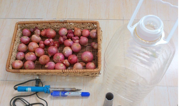 Kỹ thuật trồng h&agrave;nh l&aacute; tại nh&agrave; rất đơn giản bạn chỉ cần chuẩn bị một số vật dụng như b&uacute;t, k&eacute;o, chai nhựa...Ảnh minh họa