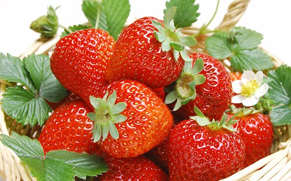 D&acirc;u t&acirc;y ch&iacute;nh l&agrave; loại quả chứa nhiều thuốc trừ s&acirc;u nhất. Ảnh minh họa 