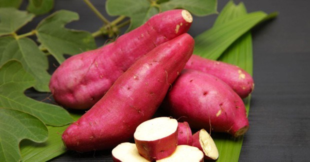 Khoai lang l&agrave; thần dược nhưng nếu ăn v&agrave;o m&ugrave;a h&egrave; lại kh&ocirc;ng tốt v&igrave; tr&aacute;i vụ. Ảnh minh họa 