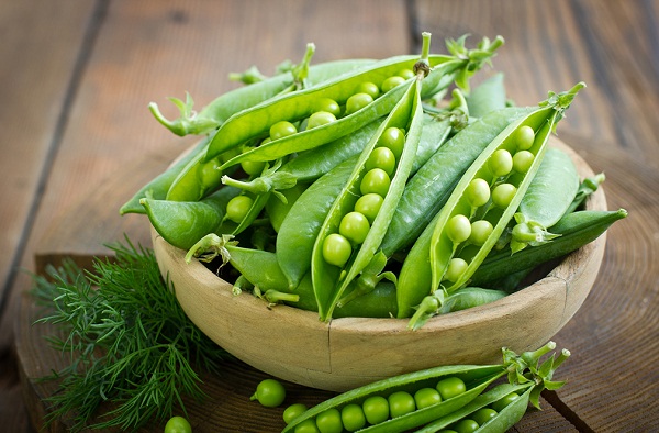 Kỹ thuật trồng c&acirc;y đậu H&agrave; Lan chỉ cần chăm s&oacute;c đ&uacute;ng c&aacute;ch sẽ cho quả sai, hạt mẩy. Ảnh minh họa