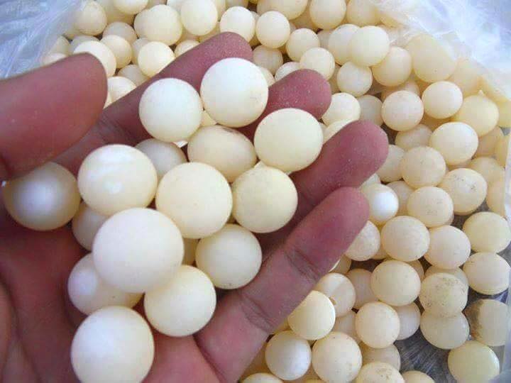 Trứng ba ba đang được coi l&agrave; thần dược được người d&acirc;n đua nhau mua. Ảnh minh họa 