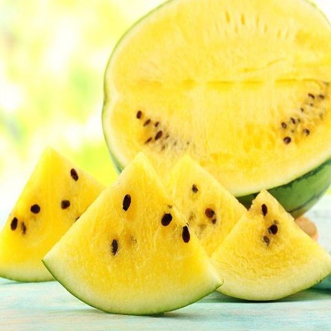 Kỹ thuật trồng c&acirc;y dư ahaaus ruột v&agrave;ng sao cho quả mọng, ngọt lịm cần c&oacute; c&aacute;ch chăm s&oacute;c v&agrave; cắt tỉa đ&uacute;ng c&aacute;ch. Ảnh minh họa 
