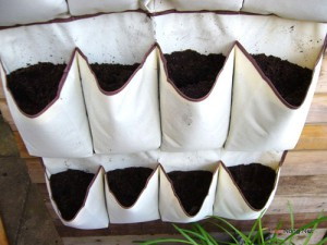 Kỹ thuật trồng rau sạch bằng t&uacute;i vải độc v&agrave; lạ. Ảnh minh họa 