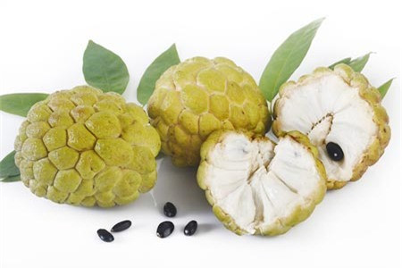 Quả na rất ngon nhưng n&ecirc;n cẩn thận khi cắn phải hạt sẽ c&oacute; thể g&acirc;y ngộ độc. Ảnh minh họa