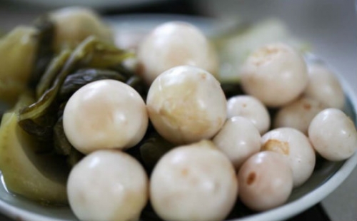  C&agrave; dưa muối tuy k&iacute;ch th&iacute;ch ngon miệng nhưng nếu đ&atilde; nổi v&aacute;ng th&igrave; n&ecirc;n n&eacute;m bỏ. Ảnh minh họa