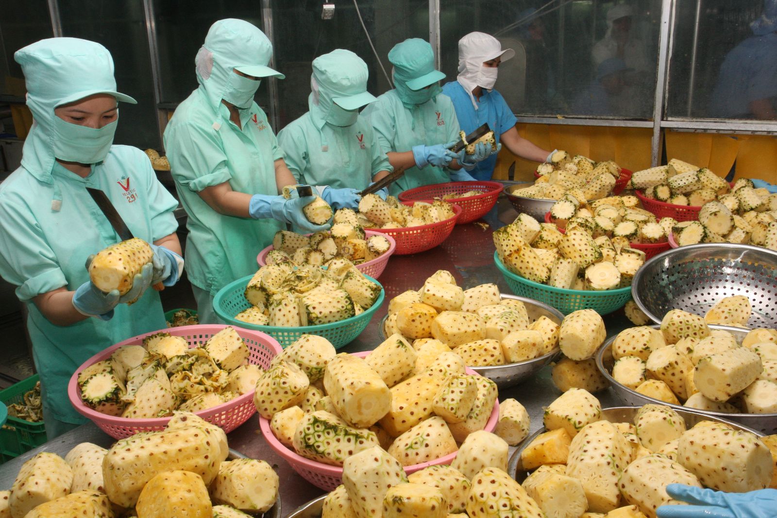 Ng&agrave;nh xuất khẩu n&ocirc;ng sản Việt Nam đang đứng trước nhiều th&aacute;ch thức. Ảnh minh họa