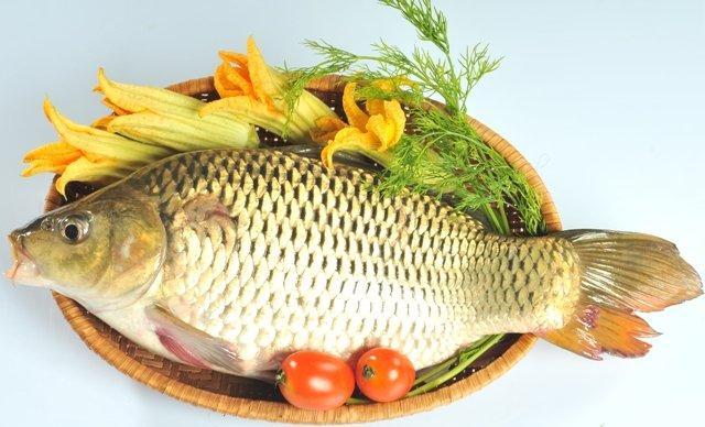 Nếu kết hợp c&aacute; v&agrave; sữa l&agrave;m gia tăng ama - chất độc trong cơ thể, đ&acirc;y cũng được coi như l&agrave; nguồn gốc của tất cả c&aacute;c loại bệnh. 