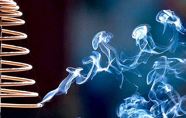 Kh&oacute;i hương độc hơn thuốc l&aacute;. Ảnh minh họa 