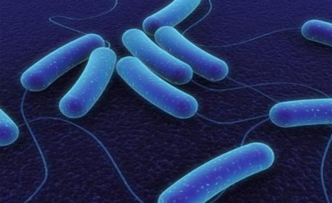 Nếu ăn phải thịt nhiễm vi khuẩn Clostridium botulinum g&acirc;y tử vong. Ảnh minh họa