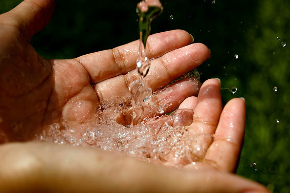  Nước kh&ocirc;ng m&agrave;u chứa nhiều vi tr&ugrave;ng si&ecirc;u nhỏ. Ảnh minh họa