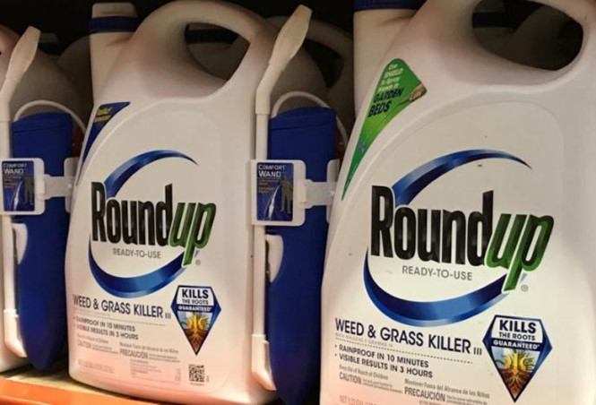 Sản phẩm c&oacute; chứa hoạt chất glyphosate đang được tẩy chay tại Mỹ. Ảnh: Thanh Ni&ecirc;n