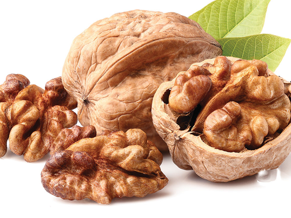 Quả &oacute;c ch&oacute; gi&agrave;u dinh dưỡng v&agrave; chữa được nhiều loại bệnh. Ảnh minh họa