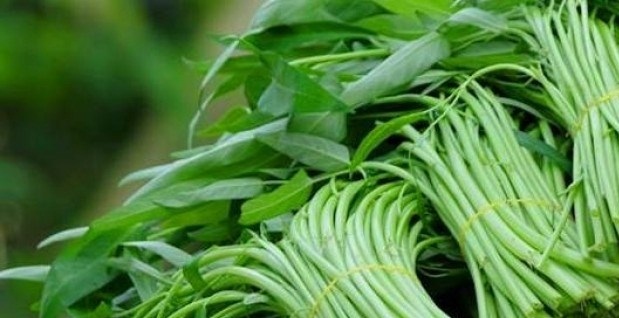Rau muống c&oacute; nguy cơ nhiễm ch&igrave; cao. Ảnh minh họa 