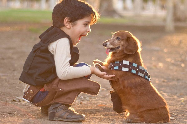 Kh&ocirc;ng n&ecirc;n để trẻ con tr&ecirc;u động vật tr&ecirc;n đường v&igrave; rất nguy hiểm. Ảnh minh họa