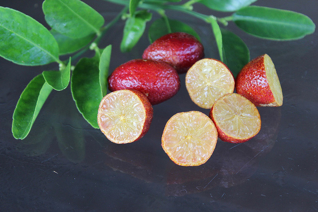 Chanh m&aacute;u đỏ c&oacute; gi&aacute; cao tr&ecirc;n thị trường từ hơn 400 đến 500.000 đồng/kg. Ảnh minh họa 