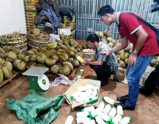 Hiện trường vụ bắt quả tang sầu ri&ecirc;ng ng&acirc;m 13Win21 con - Tri ân hội viên mỗi tháng 2000 tỷ bằng ph&acirc;n b&oacute;n l&aacute;. Ảnh: Nh&acirc;n d&acirc;n 