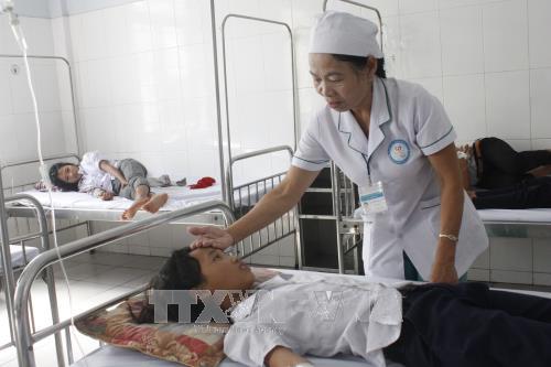 Bệnh nh&acirc;n đang được điều trị tại bệnh viện do bị ngộ độc v&igrave; d&ugrave;ng c&acirc;y hoa chu&ocirc;ng nấu canh ăn. Ảnh: TTXVN
