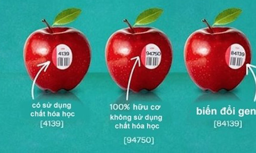  Tr&aacute;i c&acirc;y c&oacute; m&atilde; code số 8 ch&iacute;nh l&agrave; sản phẩm biến đổi gen. Ảnh: Kiến thức
