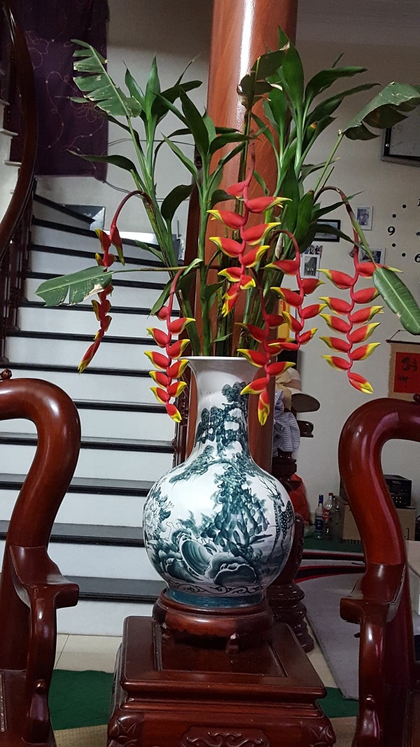 C&acirc;y chuối tr&agrave;ng ph&aacute;o kh&ocirc;ng chỉ đẹp rực rỡ m&agrave; c&ograve;n mang nhiều &yacute; nghĩa tươi mới cho ng&ocirc;i nh&agrave; bạn.