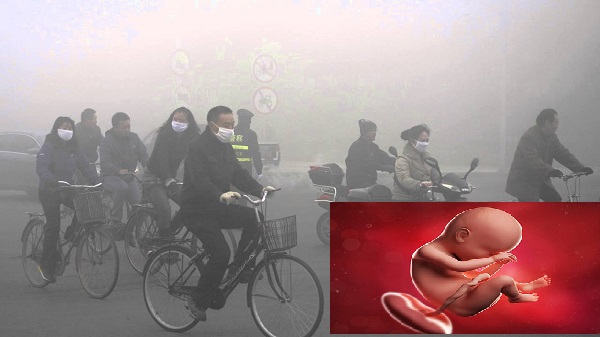  Kh&oacute;i bụi g&acirc;y ra nhiều t&aacute;c hại cho nhau thai. 