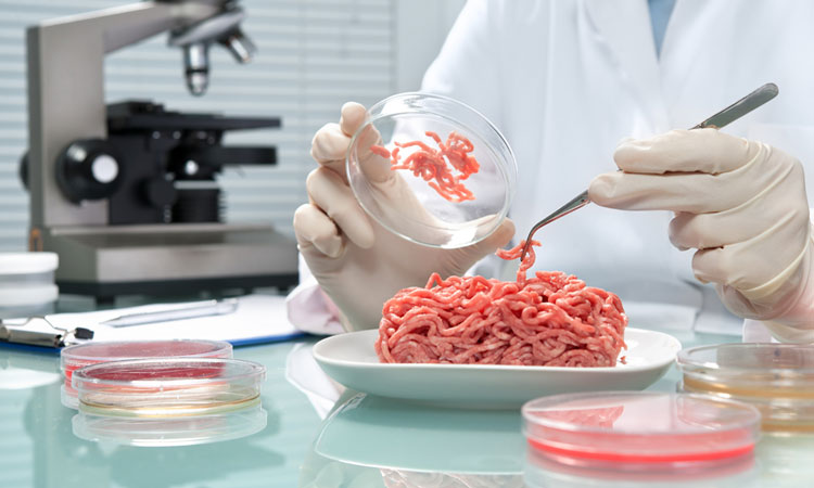  C&aacute;c nh&agrave; khoa học t&igrave;m thấy khuẩn E.coli trong thịt b&aacute;n lẻ. Ảnh: Newfoodmagazine.