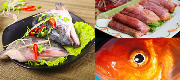  Nhiều bộ phận của c&aacute; kh&ocirc;ng n&ecirc;n ăn v&igrave; c&oacute; thể g&acirc;y họa cho 13Win19 ưu đãi hấp dẫn