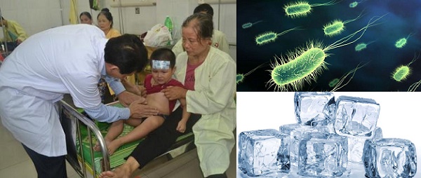  Vi khuẩn salmonella c&oacute; thể tồn tại trong nước đ&aacute; v&agrave;i th&aacute;ng v&agrave; ở nhiều 13Win OKVIP Cá cược bóng đá