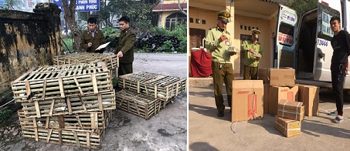 Lực lượng quản l&yacute; thị trường Lạng Sơn thu giữ lượng lớn kẹo, m&egrave;o nhập lậu từ Trung Quốc về Việt Nam b&aacute;n 