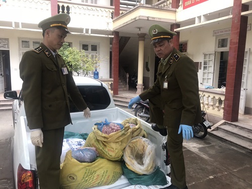 Số lượng lớn l&ograve;ng lợn đ&atilde; bốc m&ugrave;i được Đội Quản l&yacute; thị trường số 3 thu giữ