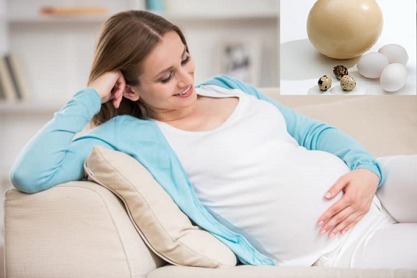 Trứng ngỗng kh&ocirc;ng hề tốt hơn trứng g&agrave; mẹ bầu n&ecirc;n biết để kh&ocirc;ng mắc sai lầm khi bổ sung dưỡng chất 