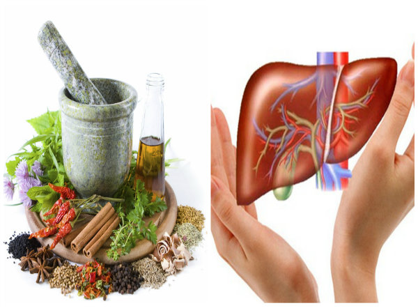  D&ugrave;ng thảo dược để tăng cường chức năng gan n&ecirc;n thận trọng 