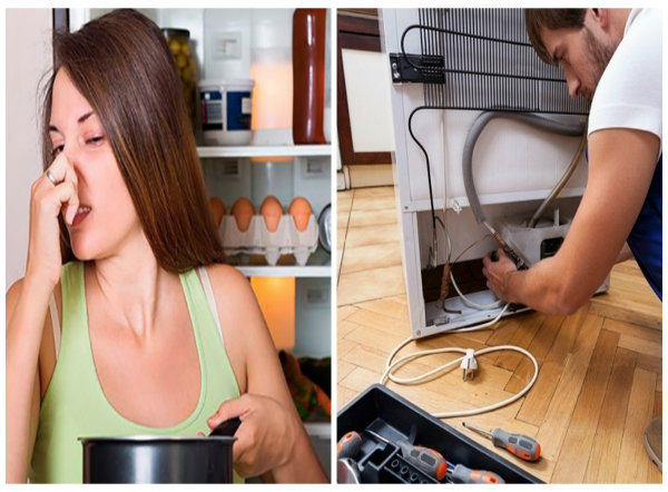  Đồ chơi nhập lậu bị lực lượng quản l&yacute; thị trường tỉnh Lạng Sơn ph&aacute;t hiện v&agrave; thu giữ Tủ lạnh bị r&ograve; rỉ gas v&ocirc; c&ugrave;ng nguy hiểm n&ecirc;n nhận biết sớm để xử l&yacute;