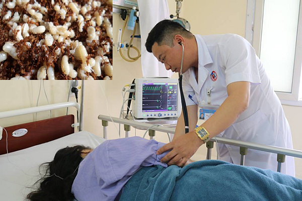 Bệnh nh&acirc;n phải nhập viện khẩn cấp v&igrave; sốc phản vệ do ăn trứng kiến 