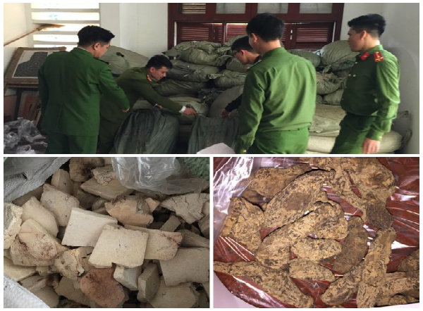 Lượng lớn dược liệu đ&atilde; chuyển m&agrave;u bị C&ocirc;ng an tỉnh Cao Bằng thu giữ 