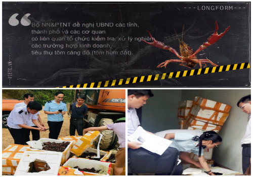 T&ocirc;m h&ugrave;m đất bị lực lượng chức năng tiến h&agrave;nh thu giữ 