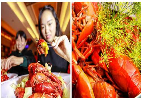  T&ocirc;m h&ugrave;m đỏ c&oacute; thể g&acirc;y hại cho nền n&ocirc;ng nghiệp Việt Nam cần phải ngăn chặn kịp thời mọi h&agrave;nh vi vi phạm