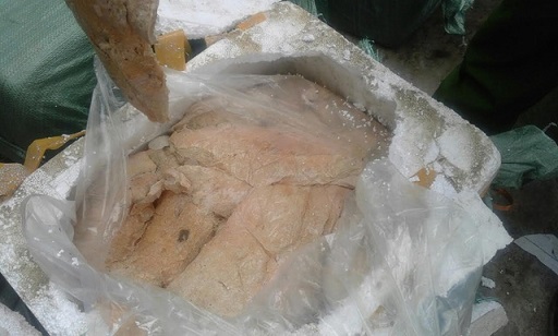 Nầm lợn thối bị bắt giữ