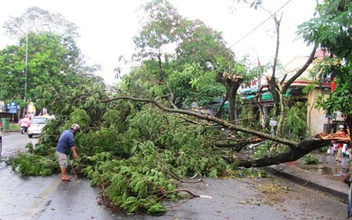 Hiện đang l&agrave; thời tiết giao m&ugrave;a n&ecirc;n rất dễ xảy ra c&aacute;c hiện tượng lốc xo&aacute;y, mưa đ&aacute;,&hellip; 