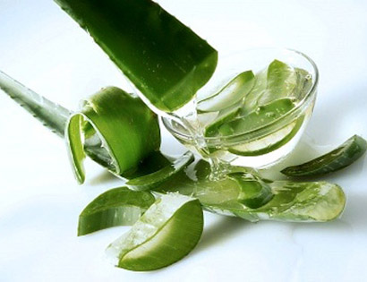 L&ocirc; hội cũng l&agrave; một trong những vị thuốc tự nhi&ecirc;n chữa bệnh đau dạ d&agrave;y hiệu quả