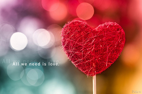 Gửi những lời ch&uacute;c Valentine đến những người độc th&acirc;n l&agrave; m&oacute;n qu&agrave; v&ocirc; c&ugrave;ng &yacute; nghĩa