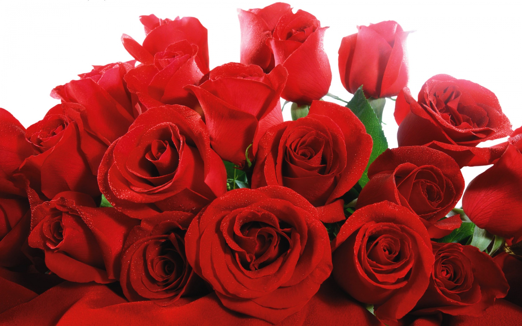 Yêu thương đong đầy bằng những lời chúc Valentine ý nghĩa bằng tiếng Anh Yêu thương đong đầy bằng những lời chúc Valentine ý nghĩa bằng tiếng Anh