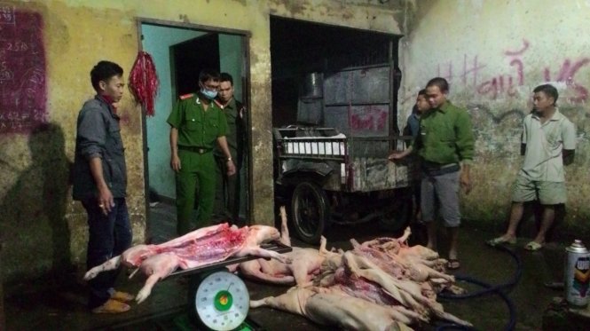 Nếu kh&ocirc;ng bị ph&aacute;t hiện, lượng thịt lợn chết Hưng Y&ecirc;n n&agrave;y sẽ được b&agrave;y b&aacute;n tr&agrave;n lan tr&ecirc;n thị trường