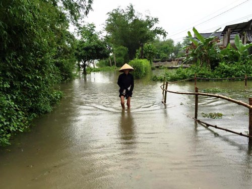 người d&acirc;n địa phương tỏ ra hết sức lo lắng trước trận lũ sớm n&agrave;y
