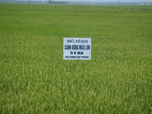 Năng suất chất lượng